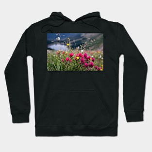 Wild Flowers Hoodie